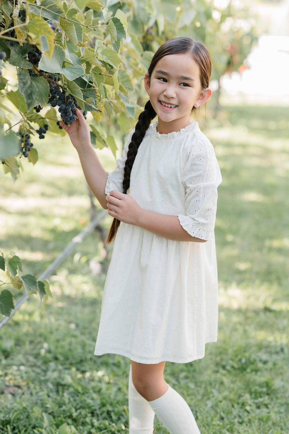 A young girl in an ivory eyelet dress smiles while picking grapes in a lush, green vineyard.