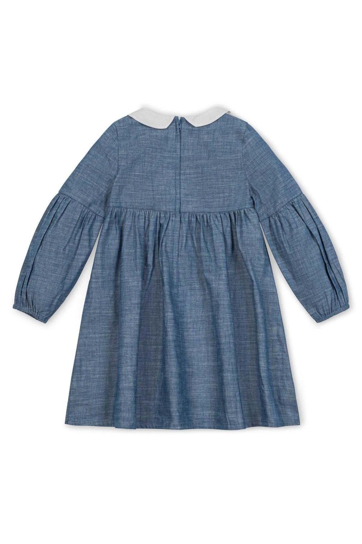 Back view of a chambray dress featuring a white Peter Pan collar and gently puffed sleeves. The dress has an empire waist and a zipper closure for easy dressing.