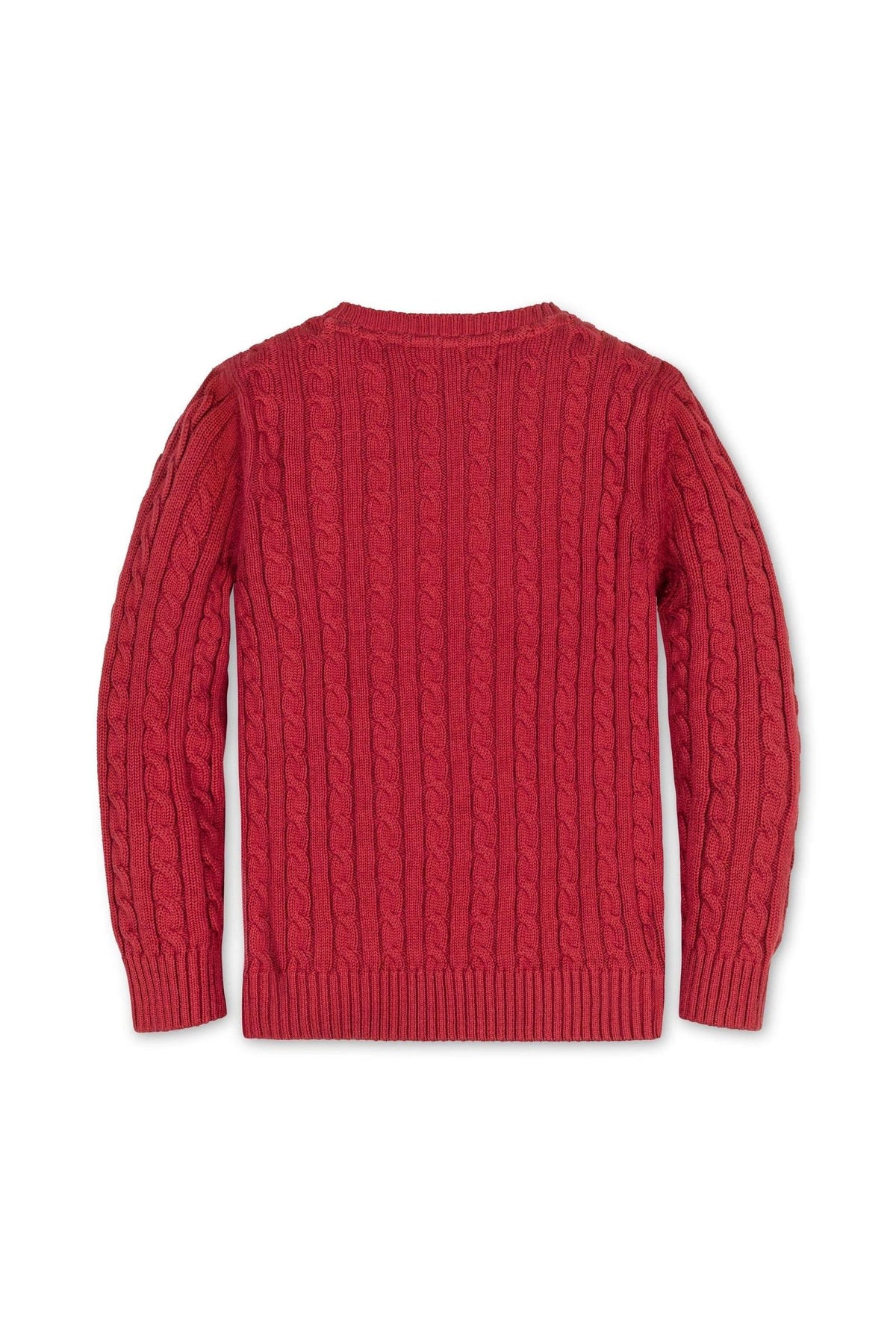 Back view of a red cable knit sweater for boys, featuring ribbed trim and made from soft organic cotton.