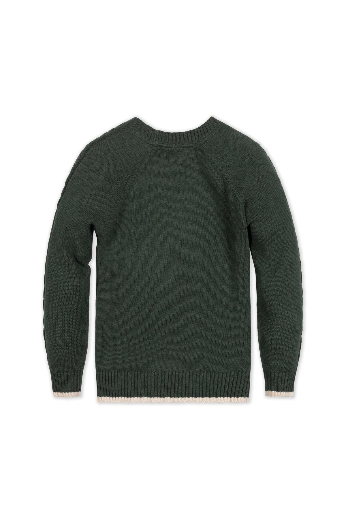Back view of a forest green organic cotton crew neck sweater featuring ribbed trim and sporty raglan sleeves, showcasing its sustainable design suitable for children ages 2T to 18.