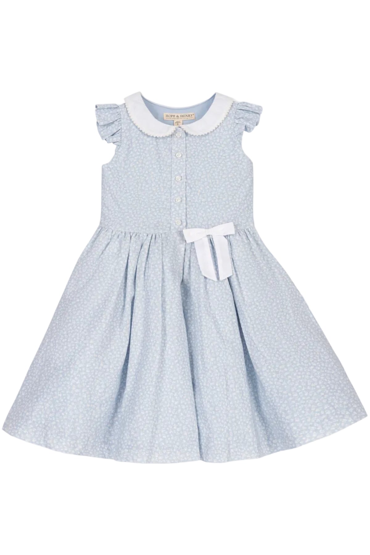 A light blue dress featuring a Peter Pan collar, ruffle sleeves, and a delicate floral print.