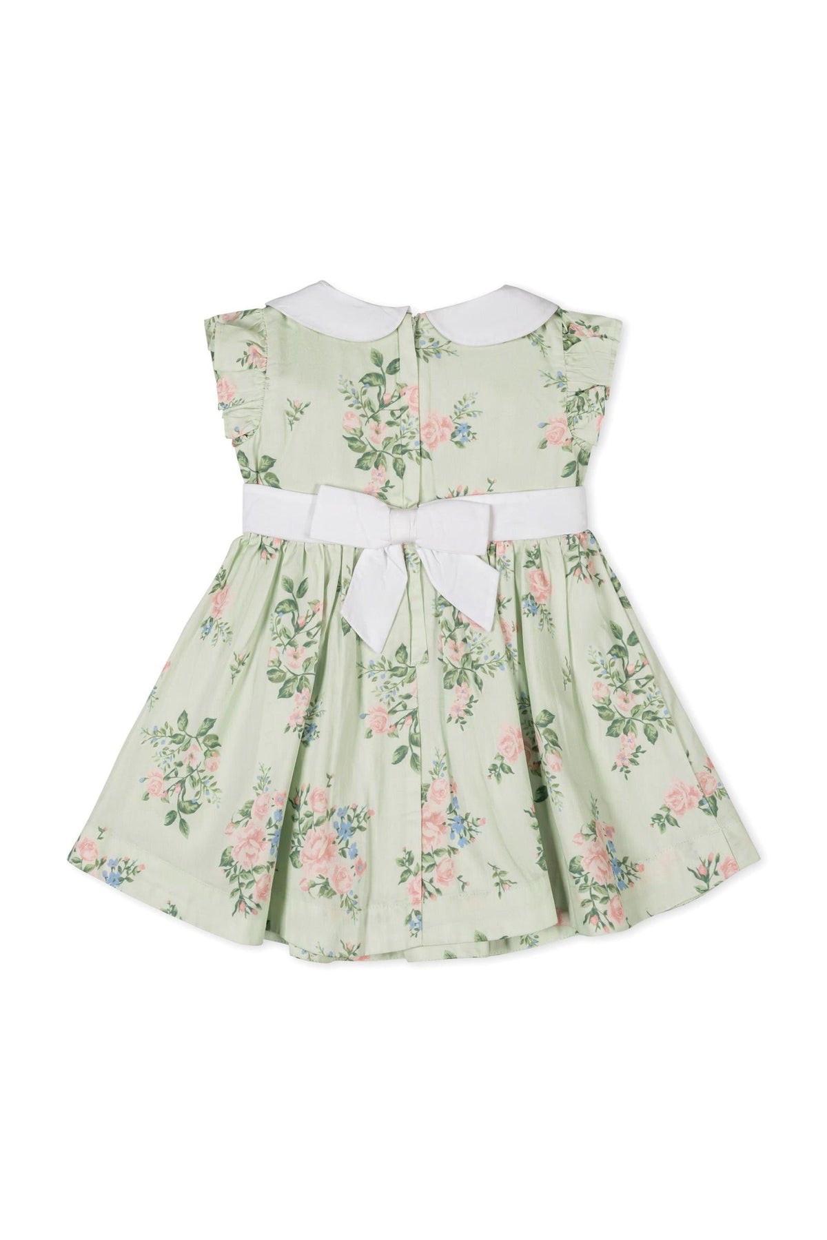 Back view of a light green floral dress with a white Peter Pan collar and a bow at the waist,.