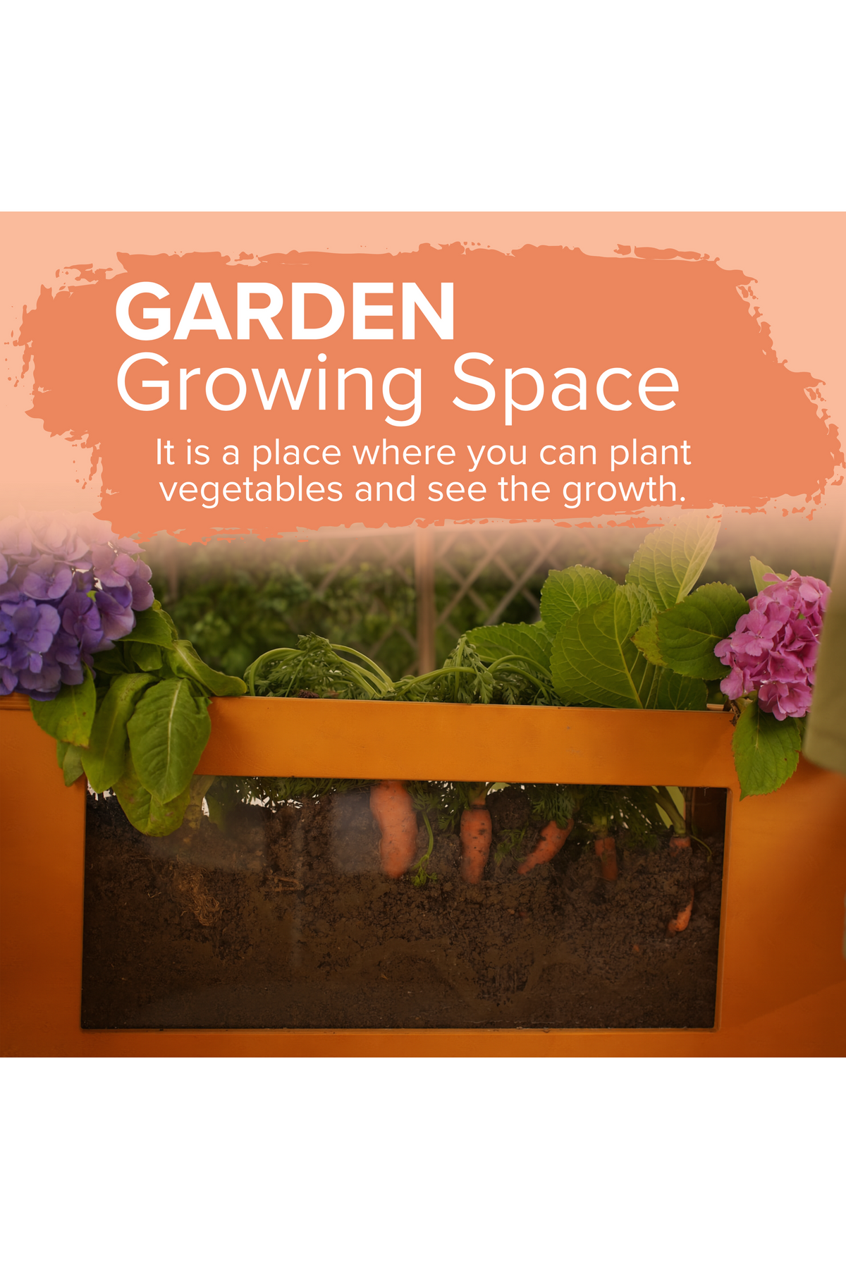 A vibrant garden growing space features a wooden planter filled with lush green vegetables and colorful flowers, inviting children to plant and observe their growth in an engaging outdoor setting.