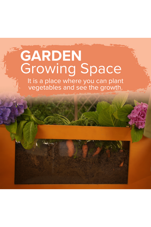 A vibrant garden growing space features a wooden planter filled with lush green vegetables and colorful flowers, inviting children to plant and observe their growth in an engaging outdoor setting.