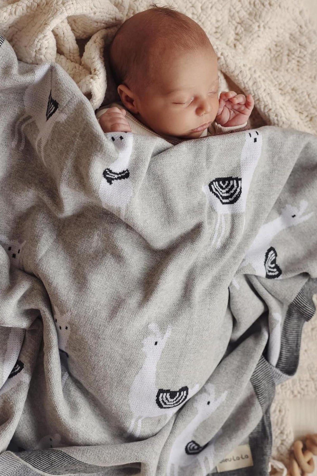 A baby sleeps under a gray llama-patterned knit blanket made from soft, luxurious cotton.