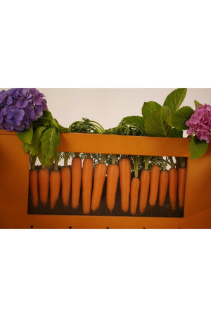 A close-up of vibrant orange carrots growing in soil, framed by green leaves and purple hydrangeas. The image showcases a colorful and lively garden scene, emphasizing natural beauty.