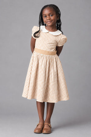 Organic Cotton Stretch Poplin Peter Pan Collar Dress, Tan Gingham, Toddler & Kids
