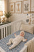 Bluebell Pointelle Stretch Crib Sheet, Bamboo, Baby Essentials