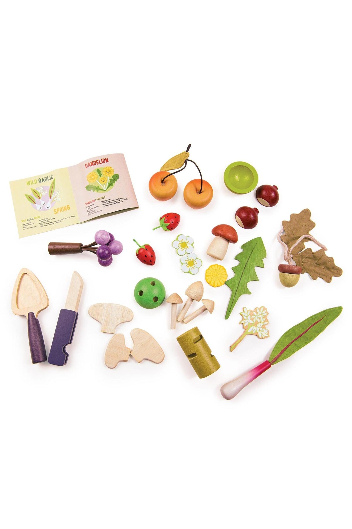 A colorful assortment of wooden foraging toys, including mushrooms, fruits, and leaves, accompanied by illustrated plant cards.