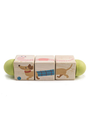 Infant Blocks Collection | Tender Leaf Wooden Toys