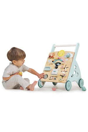 Sunshine Baby Activity Walker | Tender Leaf Wooden Toys