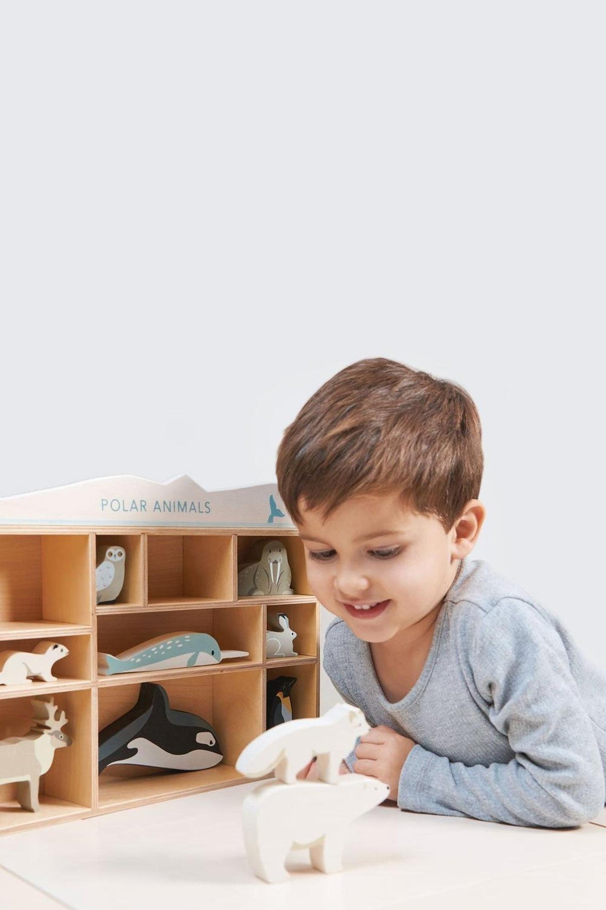 A young boy plays with wooden polar animal toys, featuring a shelving unit displaying various colorful animals.