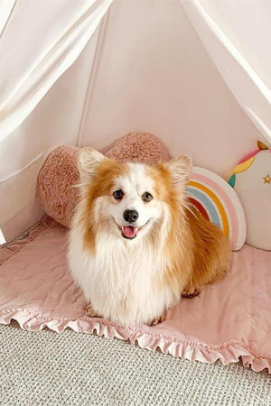 Tiny Land® Teepee Tent for Kids with Mat – Indoor Play Tent with Floor Mat