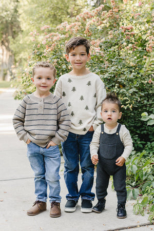Three young boys stand outdoors on a pathway lined with greenery and flowers. The eldest wears a striped sweater, while the others sport a patterned sweater and overalls, respectively.