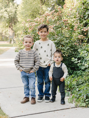 Three young boys stand on a pathway surrounded by greenery and blooming flowers. The first boy wears a striped sweater, the second sports a pine tree knit sweater.